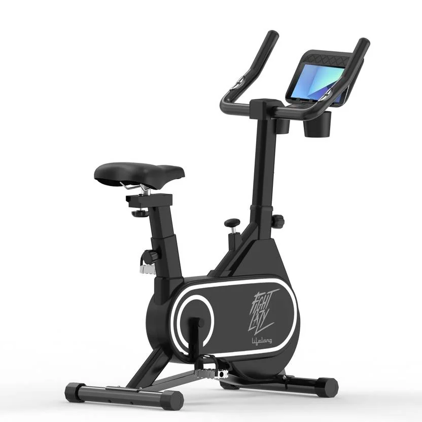 Lifelong LLSBB50 Fit Pro Spin Fitness Upright Stationary Exercise Bike (Black)